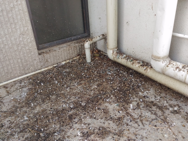 汚れだけではない健康と建物リスク