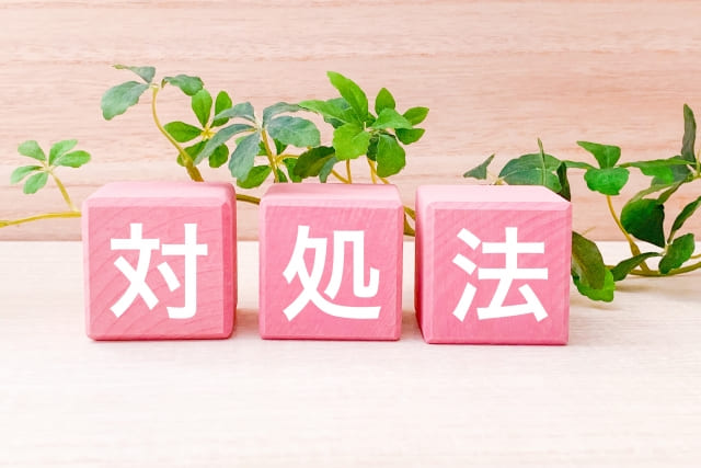 自分でできる害虫駆除の応急対策