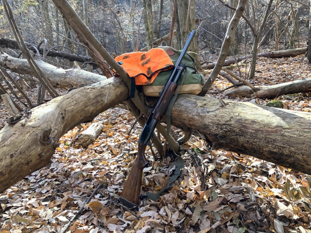 特例適用の法律改正