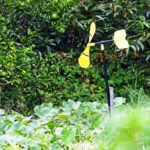 畑に設置された害獣よけのための鳥脅し