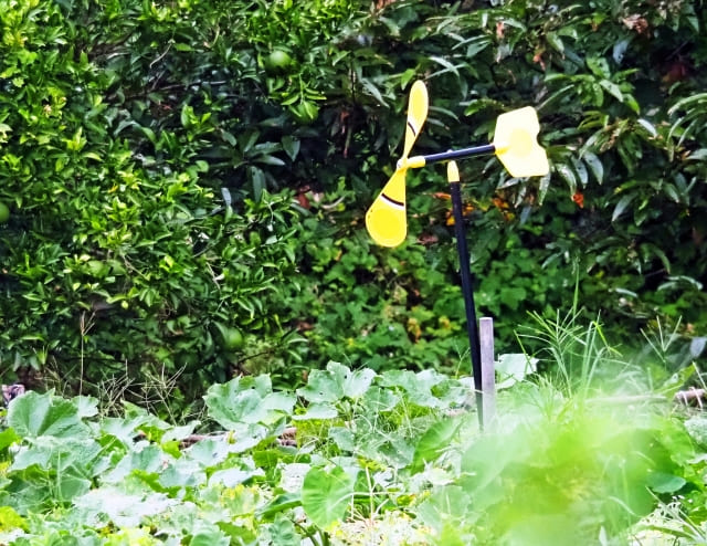 畑に設置された害獣よけのための鳥脅し
