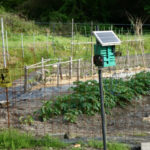 畑に設置された電気柵