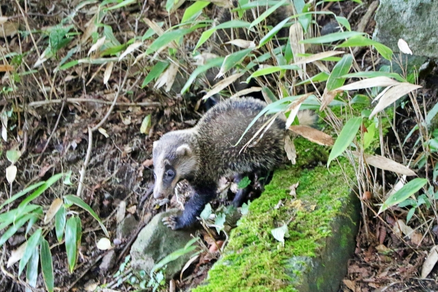 連絡する前に確認すること