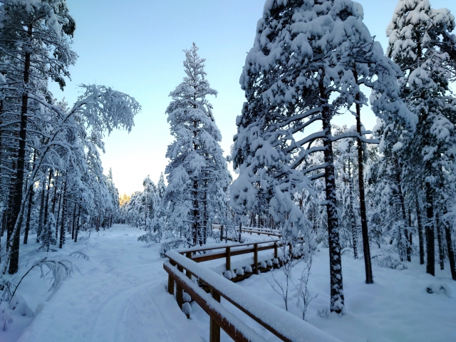 冬眠前と初夏が狙い目