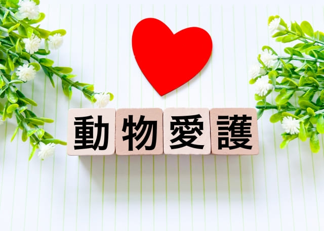 動物愛護のイメージ画像
